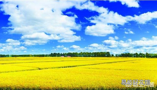 有人说一年一熟的黑龙江是粮食大省,这是为什么?