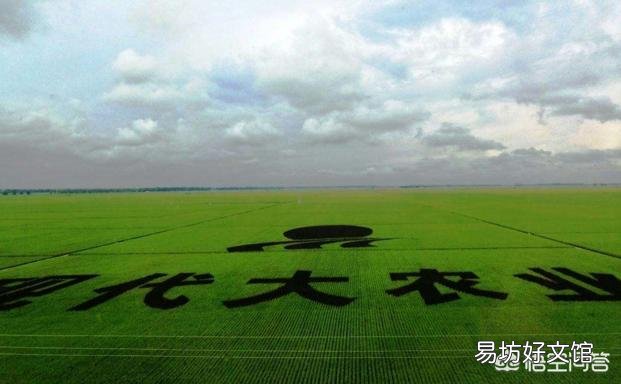 有人说一年一熟的黑龙江是粮食大省,这是为什么?