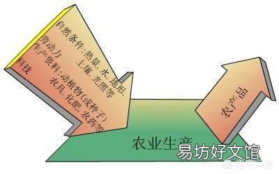 农民怎样购买化肥不亏?