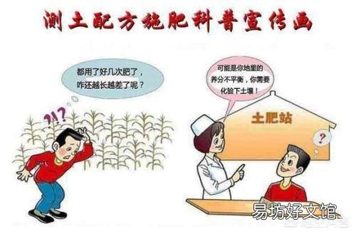 农民怎样购买化肥不亏?