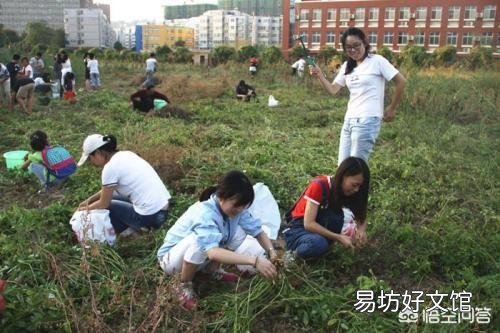 花生到底起垄好还是平地种植更好些呢?