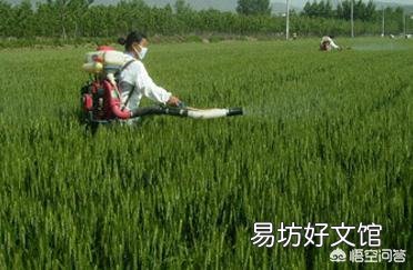水稻什么时候适合追复合肥?