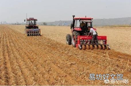 在种小麦前,给地撒生石粉怎么样?每亩该用多少斤呢?