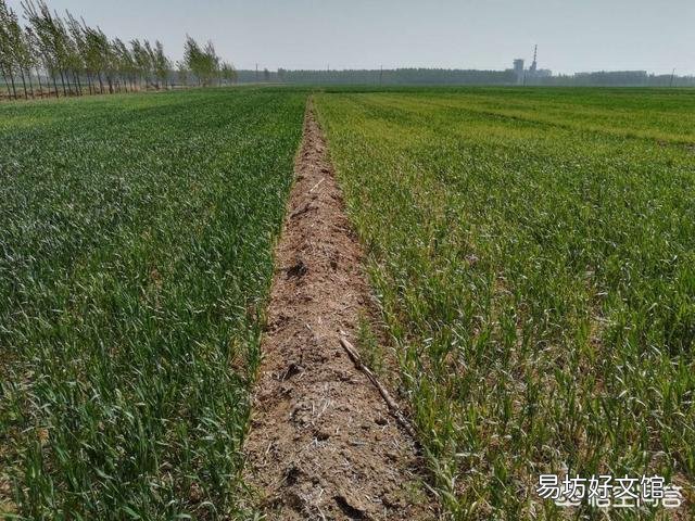 尿素,磷肥,钾肥,混在一起效果好吗?