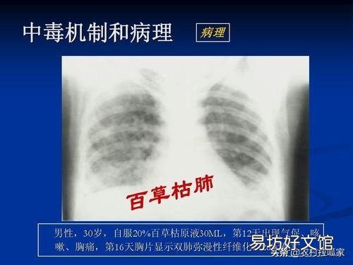 农药百草枯为什么不让用了啊?