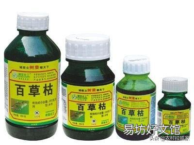 农药百草枯为什么不让用了啊?