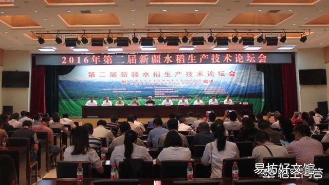 维吾尔族手抓饭是用哪里的大米做的?