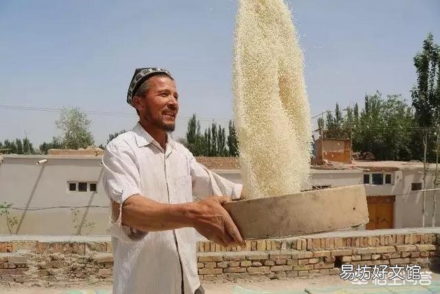 维吾尔族手抓饭是用哪里的大米做的?