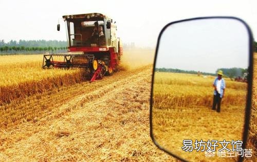 今年小麦减产了,想存放到年底再卖,价格会是怎样的趋势?