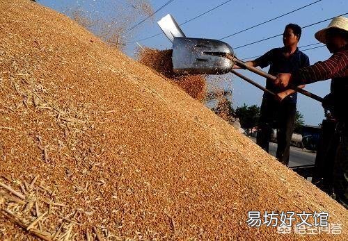 2018年的小麦价格能到什么价位?