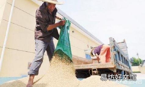 2018年的小麦价格能到什么价位?