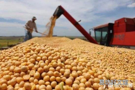 2018年我国大豆的进口量会怎样?你怎么看?