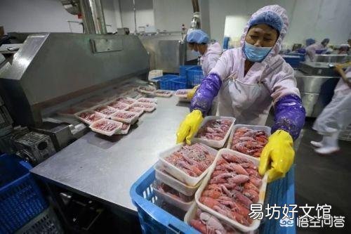 俄罗斯世界杯对我国农民带来了什么利好？有哪些方面的影响呢？