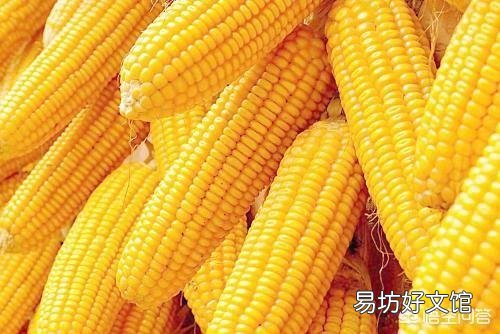 粘玉米种植可以喷红糖和尿素吗,会有什么利弊?