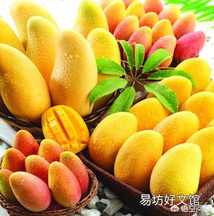 芒果核怎么让它发芽然后种植?