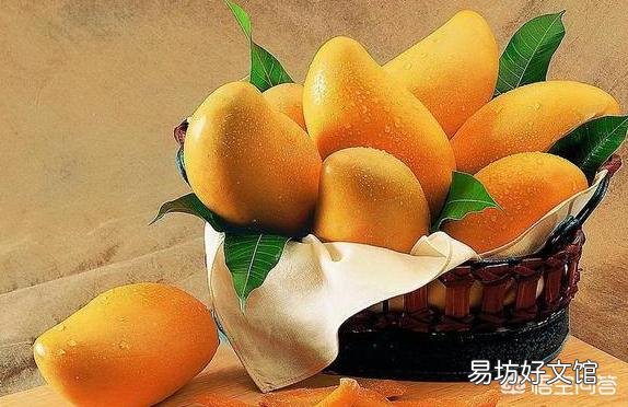芒果核怎么让它发芽然后种植?