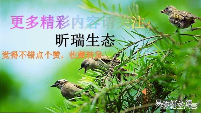 2018年小麦粮食减产,为什么价钱反而下跌了?