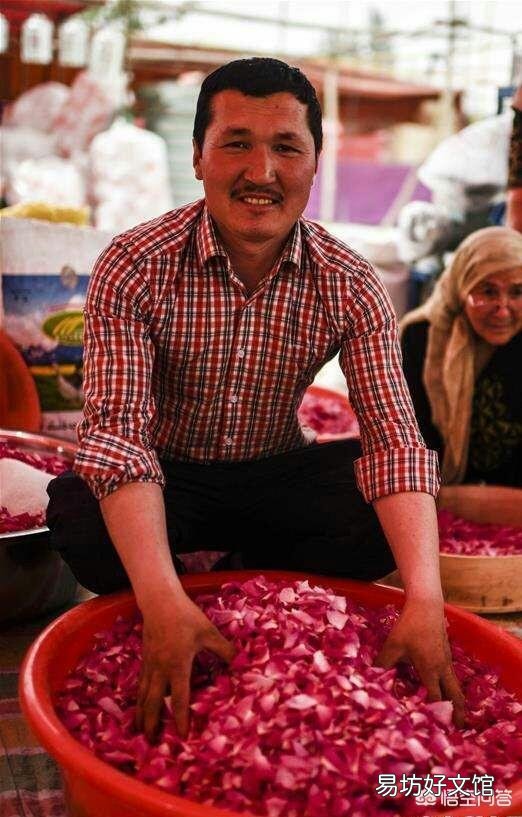哪些花既可以吃又可以入药?