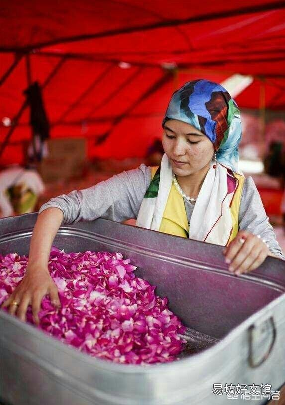 哪些花既可以吃又可以入药?