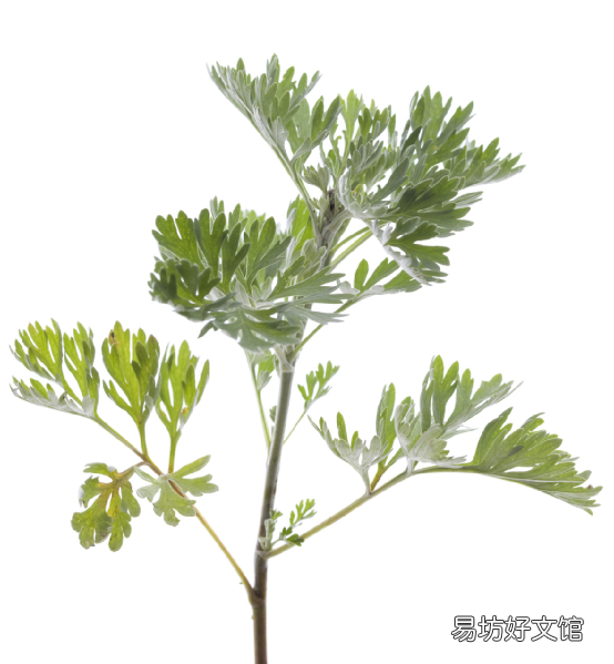 野菜没有营养？