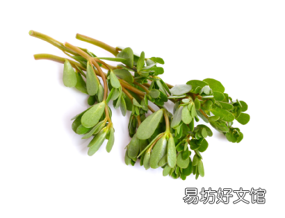 野菜没有营养？