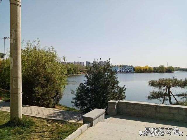 铁线莲什么时候换盆?