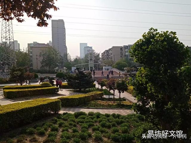 铁线莲什么时候换盆?