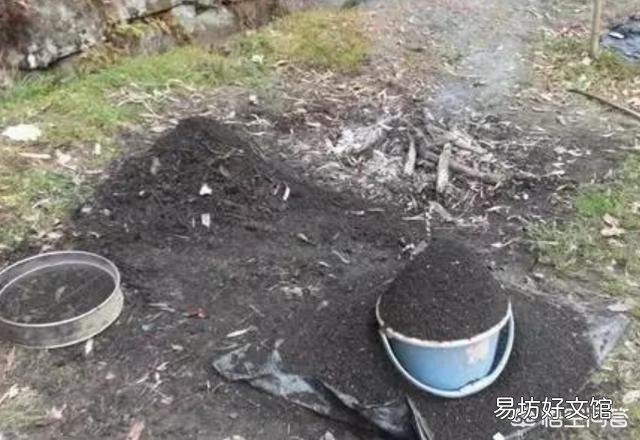 蟹爪兰能用草木灰吗?
