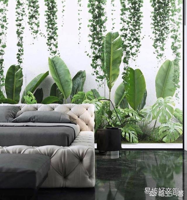 室内栽花种树是一种怎样的体验?