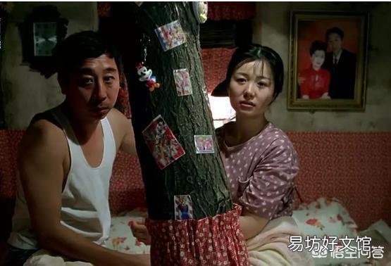 室内栽花种树是一种怎样的体验?