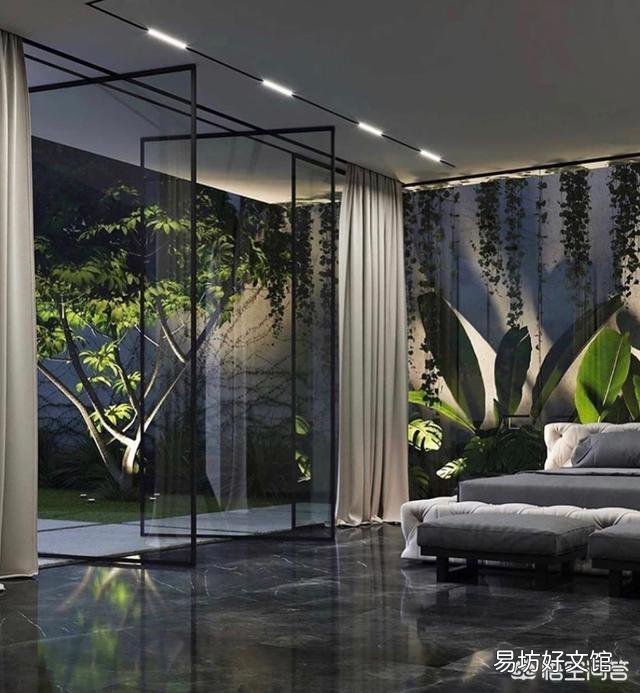 室内栽花种树是一种怎样的体验?
