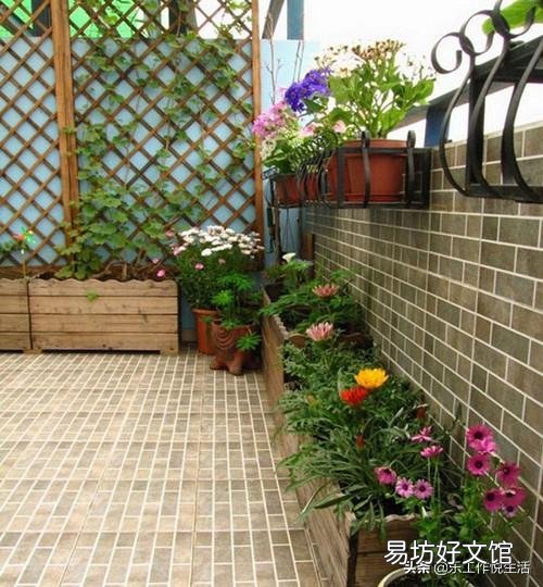 室内栽花种树是一种怎样的体验?