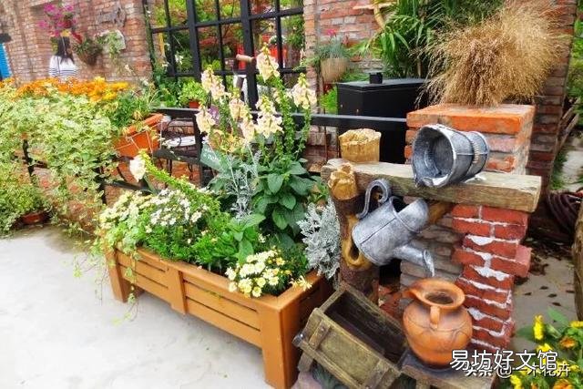 家里植物生了很多不认识的虫子,该怎么处理?