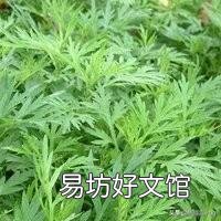 艾绒灰放在发财树的土里能当肥料吗?为什么?