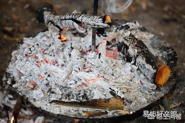木炭灰可以栽培发财树吗?