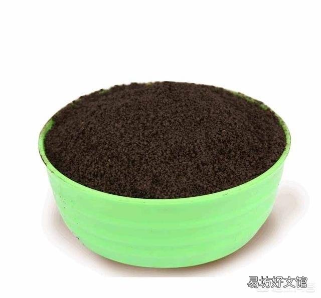 绿萝移植后烂根怎么回事?