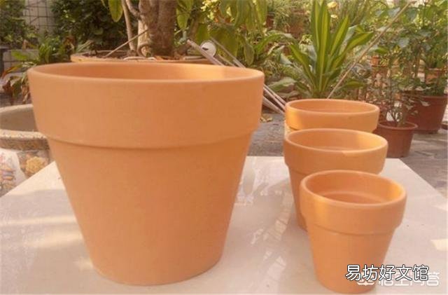 月季一般用什么样的花盆种植比较好?