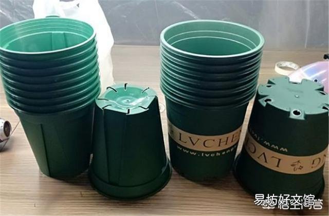月季一般用什么样的花盆种植比较好?