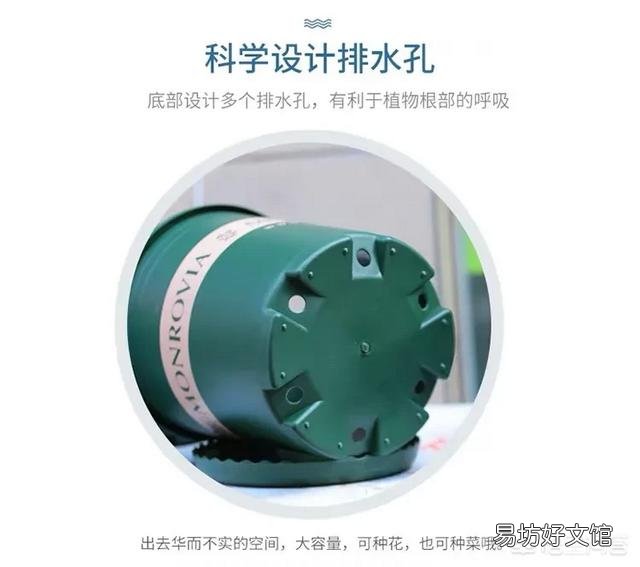 月季一般用什么样的花盆种植比较好?