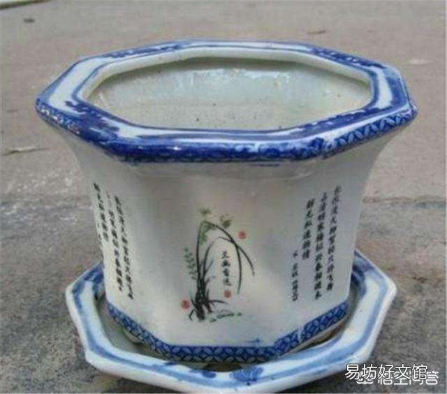 月季一般用什么样的花盆种植比较好?