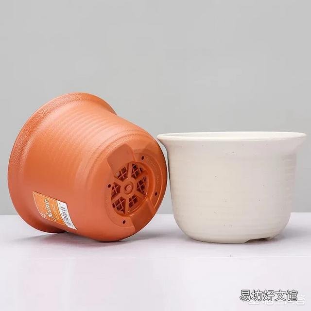 月季一般用什么样的花盆种植比较好?