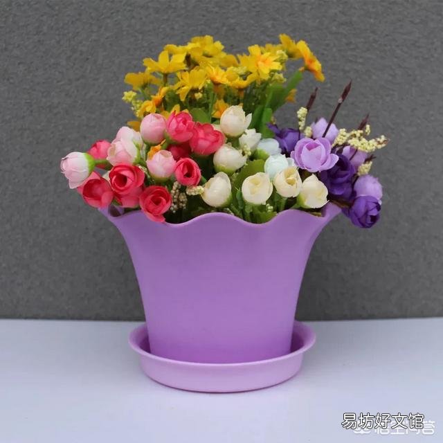 月季一般用什么样的花盆种植比较好?