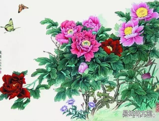 牡丹花苗为什么不长叶?你有哪些养护方法?