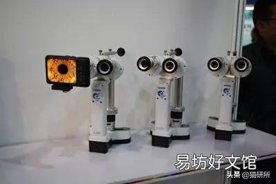 猫咪白内障初期照片(猫咪白内障图片)