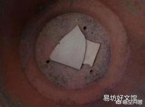 两周前买的栀子花和茉莉花,现在状态好像都不太好,该怎么养护?