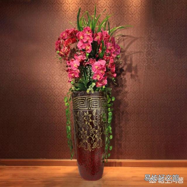 想在办公室里载盆大一点的花,选择什么花比较合适?