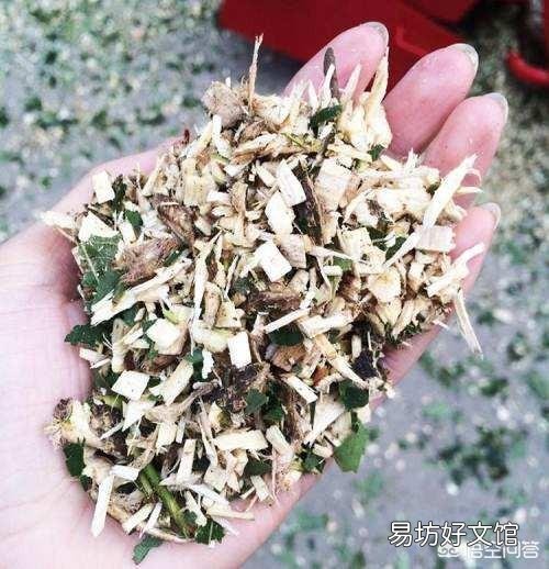 葡萄的枝条可以做有机肥不？