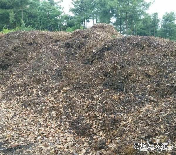 葡萄的枝条可以做有机肥不？