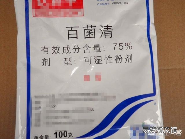 盆栽观赏石榴黄叶怎么回事?