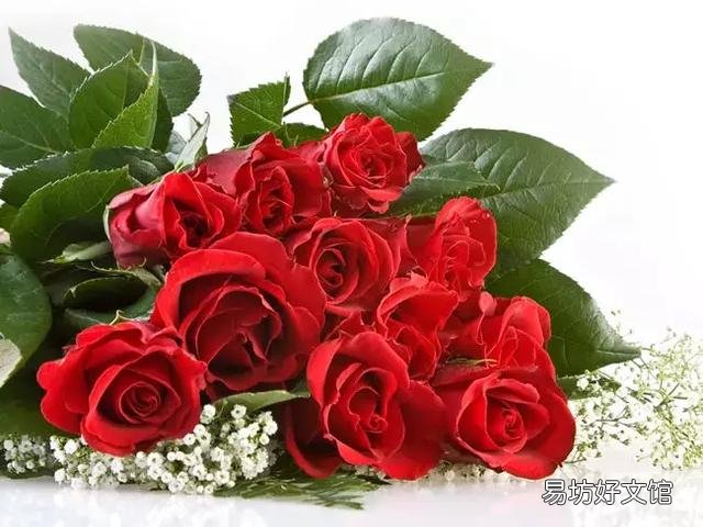 世界上什么花最香？